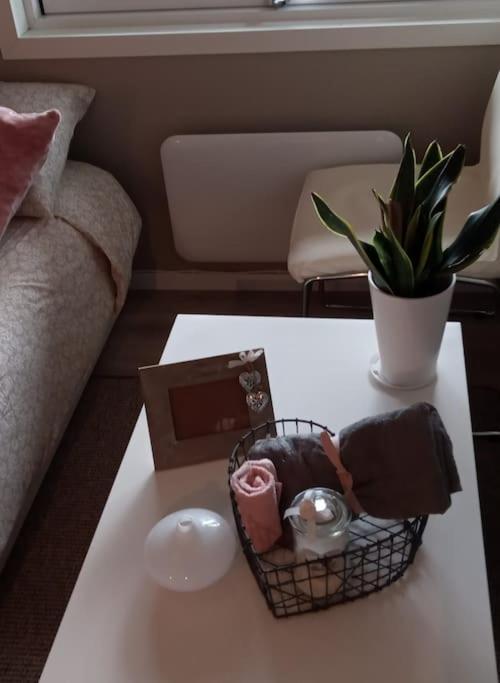 Adorable 1-Bedroom Apartment With A Fantastic View - Free Parking Trondheim Kültér fotó