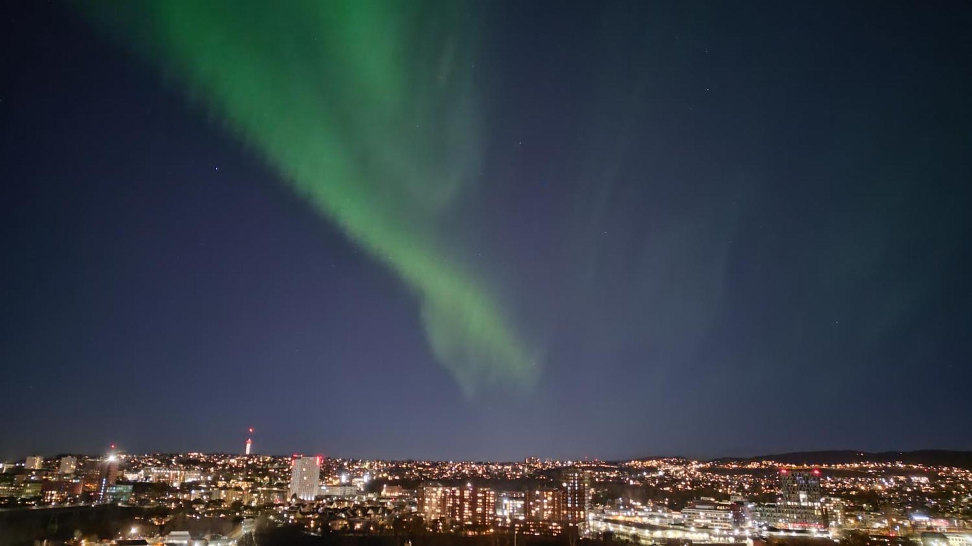 Adorable 1-Bedroom Apartment With A Fantastic View - Free Parking Trondheim Kültér fotó